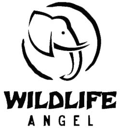 Wildlife Angel