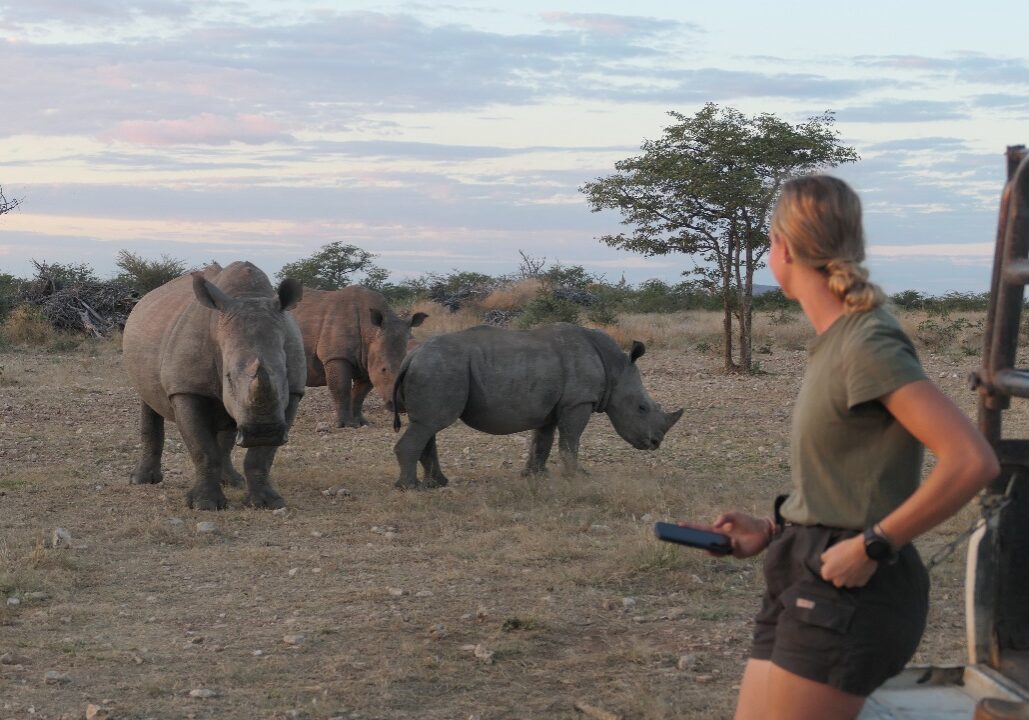 WhatsApp Image 2025-11-12 at 09.17.04